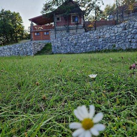 Mountain Village House Cetinje Dış mekan fotoğraf