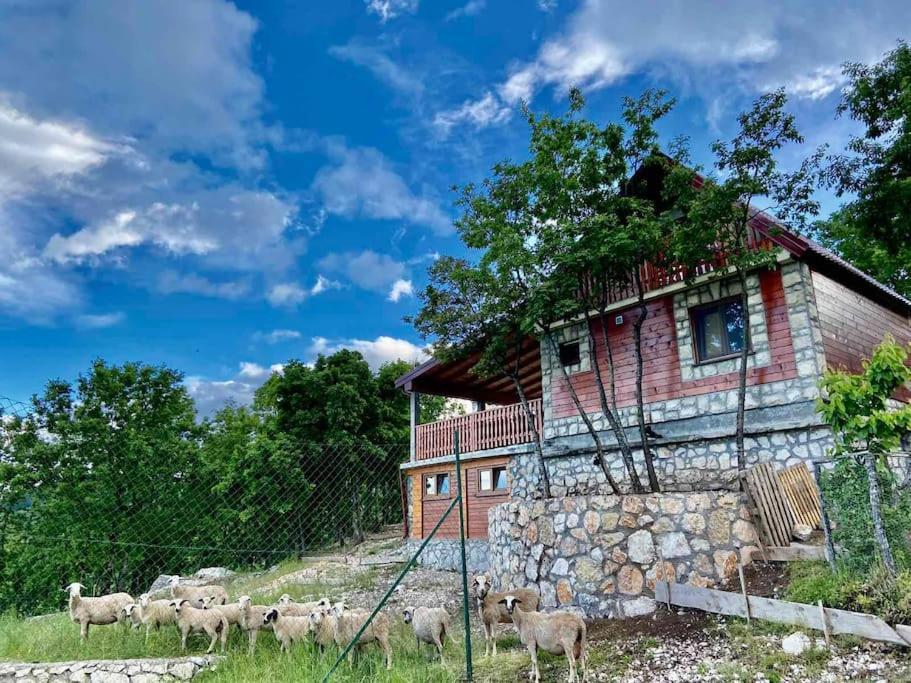 Mountain Village House Cetinje Dış mekan fotoğraf