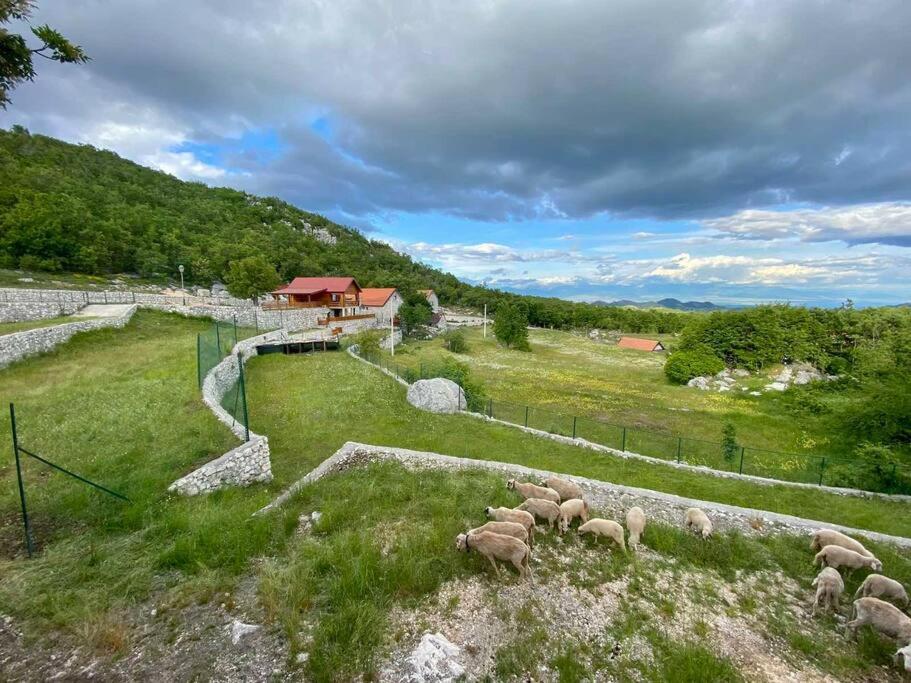 Mountain Village House Cetinje Dış mekan fotoğraf