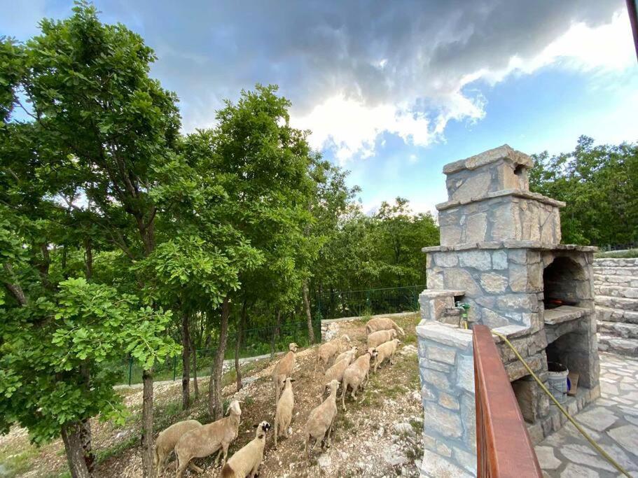 Mountain Village House Cetinje Dış mekan fotoğraf