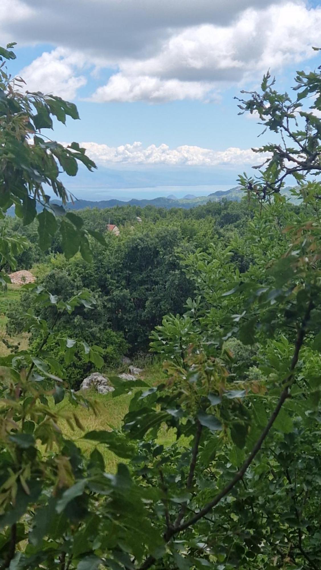 Mountain Village House Cetinje Dış mekan fotoğraf