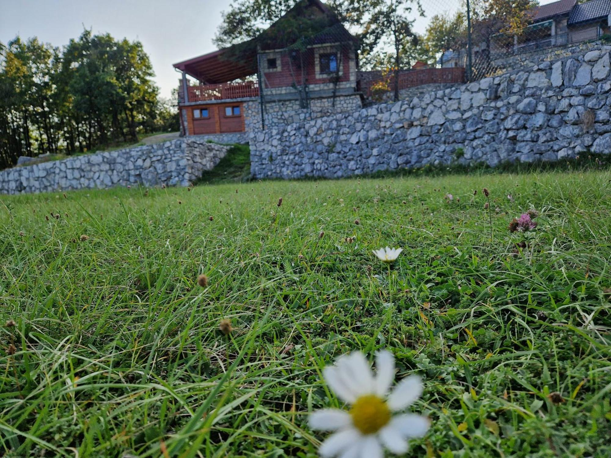 Mountain Village House Cetinje Dış mekan fotoğraf